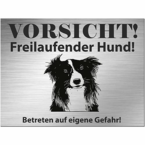 Indigos UG - Schild Border Collie - bedruckt - Vorsicht Freilaufender Hund - Aluverbundplatte Edelstahl Look - 30x20 cm - Spruch - Deko Geschenkidee für Ihren Hund - Zaun - Türschild Indigos UG - Schild Border Collie - bedruckt - Vorsicht Freilaufender Hund - Aluverbundplatte Edelstahl Look - 30x20 cm - Spruch - Deko Geschenkidee für Ihren Hund - Zaun - Türschild von INDIGOS