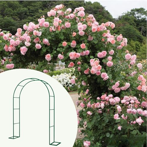 Pergola Laube aus Metall für den Außenbereich Blumengarten-Bogen Spalier Rosenbogen für Kletterpflanzen robust langlebig Gartenbogen Rasen Party Zeremonie Hochzeitsdekoration Bogen mit Sockel(Color:Da von IRUGS