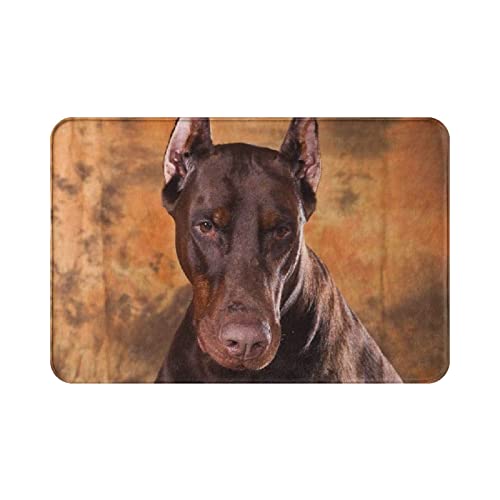 IUBBKI 40 x 60 cm Fußmatte Cool Dobermann Pinscher Hund Bodenmatte Weiche Schmutzfangmatte Waschbare Fußmatte für Eingang, Flur, Garten von IUBBKI