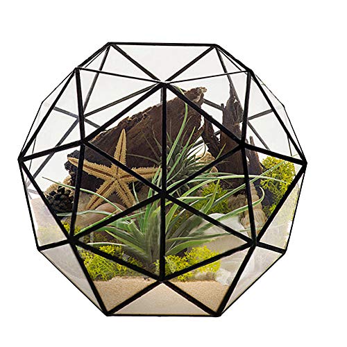 Geometrischer Terrarium-Behälter, Schwarz, Unregelmäßig Geöffnet, Glas-Blumentopf, Pflanzgefäß, Vase, Schüssel, Handgefertigter Pflanzgefäß, Glas-Moos-Pflanzgefäß, Tafelaufsatz, Präsentationsbox für S von IUIBMI