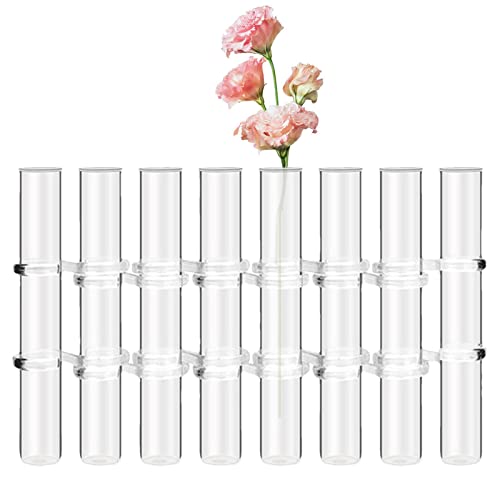 Kleine aufklappbare Blumenvasen - 6/8 transparente Vasen für die Hochzeit - Glasblumenvase mit Haken und Bürste, Reagenzglasvase, Blumenbehälter, Hydroponik-Pflanzenvase Imtrub von Imtrub