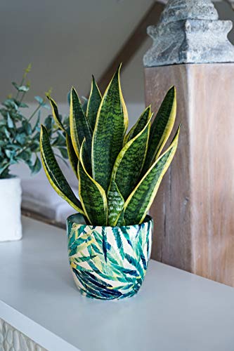 Ivyline Monza Pflanztopf für den Innenbereich, Keramik, botanischer Farn-Grüner Übertopf, 17 cm Ivyline Monza Pflanztopf für den Innenbereich, Keramik, botanischer Farn-Grüner Übertopf, 17 cm von Ivyline