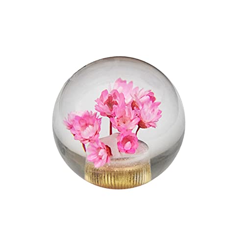 JINGLINGKJ Schaltknauf Geschenke für Freundin Blume in Bubble Water Stick MT bei Universal Transparent Acryl Schaltknauf Kopf Autoteile (Rosa) von JINGLING