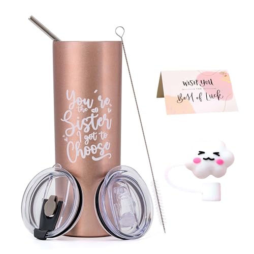 Beste Freundin Geschenke,Geburtstagsgeschenk für Frauen,Kollegen,Tasse mit Spruch-You're The Sister I Got to Choose-20 Oz Doppelwandig Tumbler Trinkbecher,Camping Becher mit Strohhalm und Deckel von JNSMFC