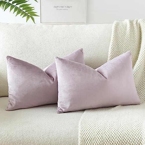 JOTOM Samt Kissenbezug Kissenhülle Sofakissen Dekokissen Kissenbezüge für Sofa Wohnzimmer Schlafzimmer 2er Set 40x60 cm Rosa Lila JOTOM Samt Kissenbezug Kissenhülle Sofakissen Dekokissen Kissenbezüge für Sofa Wohnzimmer Schlafzimmer 2er Set 40x60 cm Rosa Lila von JOTOM