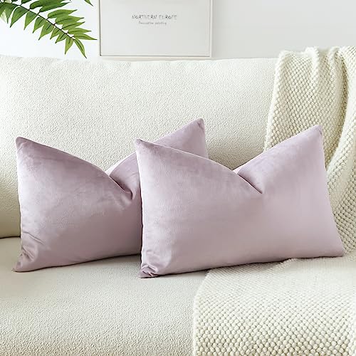 JOTOM Samt Kissenbezug Kissenhülle Sofakissen Dekokissen Kissenbezüge für Sofa Wohnzimmer Schlafzimmer 2er Set 40x60 cm Rosa Lila von JOTOM