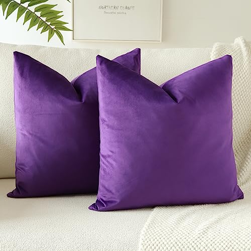 JOTOM Samt Kissenbezug Kissenhülle Sofakissen Dekokissen Kissenbezüge für Sofa Wohnzimmer Schlafzimmer 2er Set 45x45 cm Lila JOTOM Samt Kissenbezug Kissenhülle Sofakissen Dekokissen Kissenbezüge für Sofa Wohnzimmer Schlafzimmer 2er Set 45x45 cm Lila von JOTOM