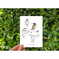 Kolibri Studie 5x7 Und 8x10 Druck; Vogelillustration; Tier Kunstdruck von JenNewlinStudio