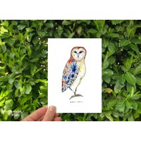 Schleiereule 5x7 Druck; Vogel Illustration; Tier Kunstdruck von JenNewlinStudio