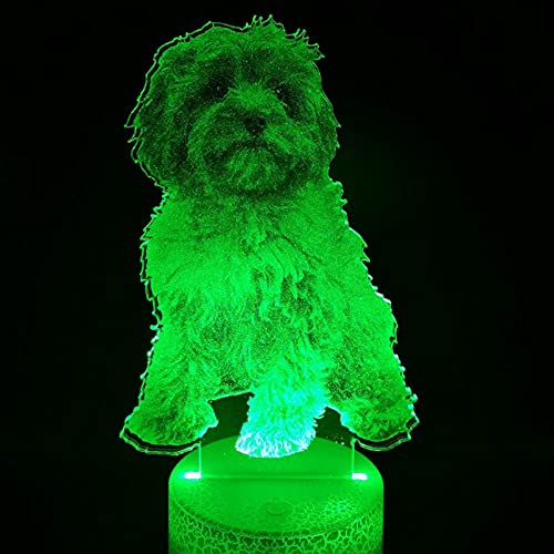 Jinson well 3D Hund Lampe optische Illusion Nachtlicht, 7 Farbwechsel Touch Switch Tisch Schreibtisch Dekoration Lampen mit Acryl Flat ABS USB Kabel Spielzeug von Jinson well