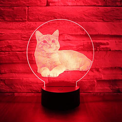 Jinson well 3D katze led licht Lampe optische Illusion Nachtlicht, 7 Farbwechsel Touch Switch Tisch Schreibtisch Dekoration Lampen Flat Base USB Spielzeug von Jinson well