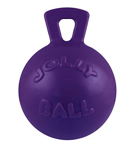 Jolly Pets Tug-n-Toss Robuster Hundespielzeugball mit Griff, 20,3 cm/groß, Violett von Jolly Pets