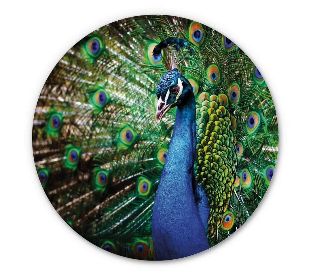 K&L Wall Art Gemälde Metallposter Rund Pfau König Vogel Pfauenfeder Natur Fotografie, Metalloptik Wandbild Ø 70cm von K&L Wall Art