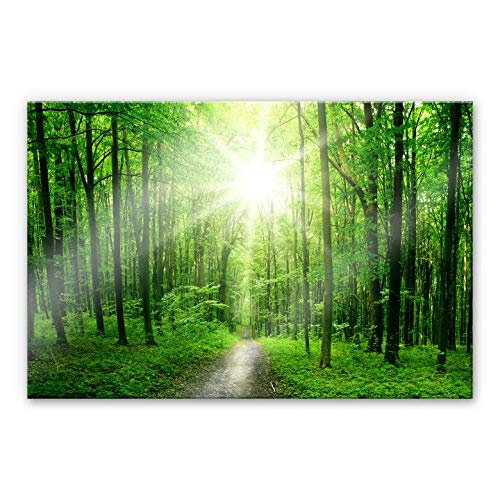 K&L Wall Art XXL Wandbild Sunny Forest Acrylglas sonniger Wald Glasbild Baum des Lebens Natur Waldweg 150x100cm von K&L Wall Art