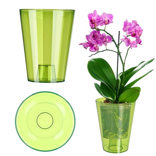 KADAX Blumentopf, schlanker Orchideentopf, Schlichter Pflanzkübel, Blumenkübel für Orchidee, Knabenkraut, Gänseblümchen, Übertopf für Küche und Wohnzimmer (⌀ 12cm, rund, Grün) von KADAX