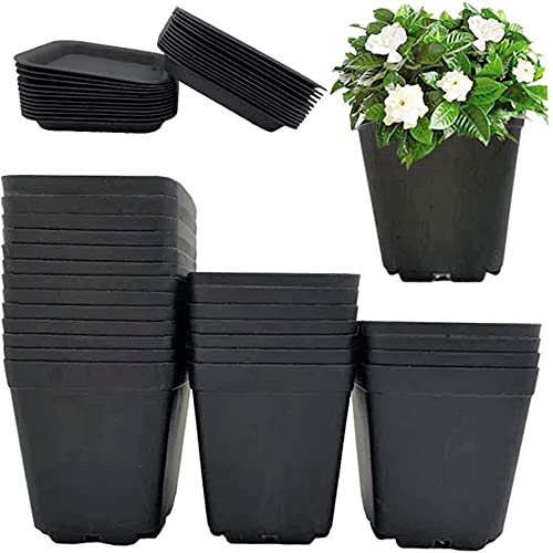 KAHEIGN 24Pcs Blumentopf Quadratisch, 7cm Kunststoff Blumentöpfe Sukkulenten Übertöpfe mit Palette für Dekor Innen- und Außenbereich, Pflanzentopf mit Untersetzer (Schwarz) von KAHEIGN