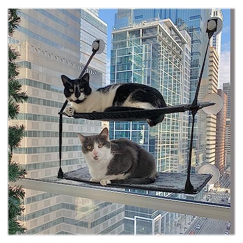 K&H 779092 EZ Easy Window Mount Kitty Sill, am Fenster zu befestigendes Katzenbett mit Zwei Ebenen von K&H