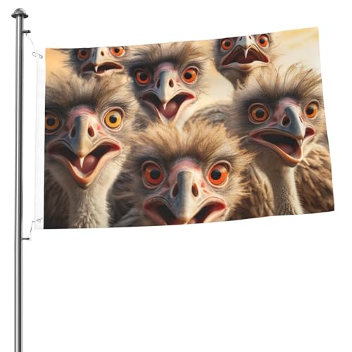 Flagge, 60 x 91 cm, Dekoration für den Außenbereich, mit 2 Ösen, Strauß, Außendekoration, Flagge, 200D, strapazierfähiges Polyester, Banner für Hofdekoration, große Flaggen von KHiry