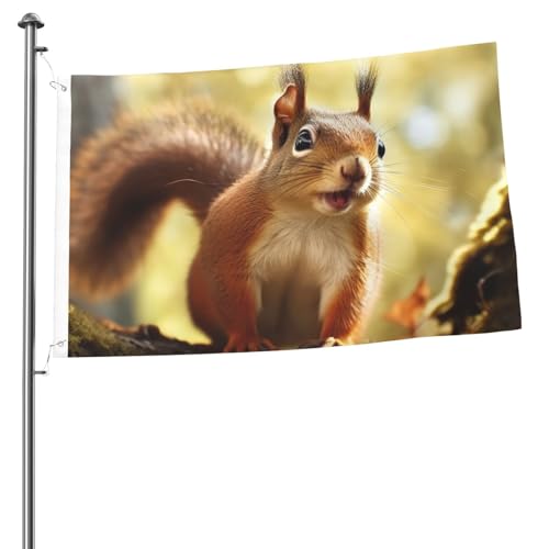Flagge, 60 x 91 cm, Dekoration für den Außenbereich, mit 2 Ösen, lustige Eichhörnchen-Außendekorationen, Flagge, 200D, strapazierfähiges Polyester, Banner für Hofdekoration, große Flaggen von KHiry