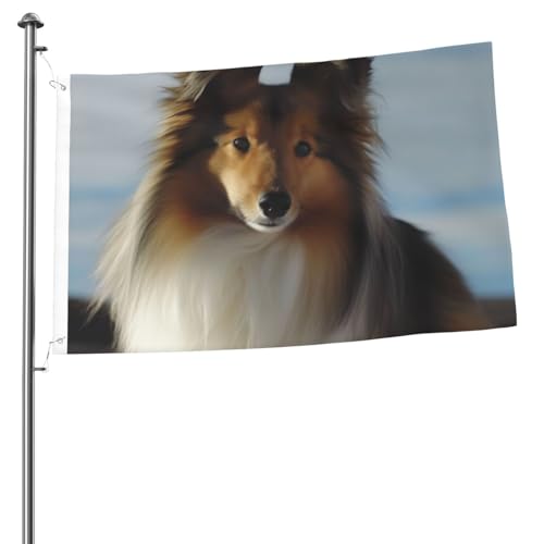 Flagge mit 2 Ösen, niedlicher Shetland-Hund, Außendekoration, 200D-Polyester, Banner für Hof, Dekoration, große Flaggen von KHiry