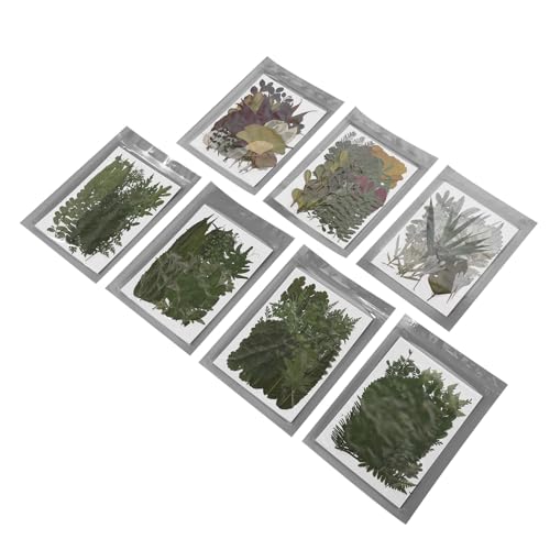 Natürliche Getrocknete Gepresste Blumen-Pflanzen-Set für DIY-Kunsthandwerk, Schmuck, Notizen, Einladungen, Geschenke von KKPLZZ