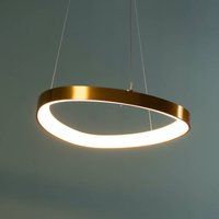 Minimalistische goldene LED-Hängeleuchte - Mesiano von KOSILUM