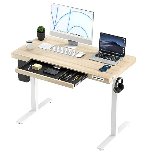 KOWO Schreibtisch Höhenverstellbar Elektrisch 120 x 60 cm, Helle Holz Tischplatte, Höhenverstellbarer Schreibtisch, Ergonomischer Steh-Sitz Tisch, Computertisch von KOWO