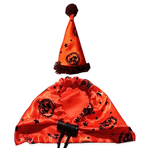 Kalttoy Bärtiger Drache Halloween Hut und Umhang Set Einstellbare Eidechse Urlaub Kostüm für Amphibien Orange Pet Supplies von Kalttoy