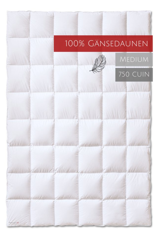 Gänsedaunenbettdecke, Premium 750, Kauffmann, Füllung: 100% Gänsedaunen, Bezug: 100% Baumwolle, allergikerfreundlich von Kauffmann