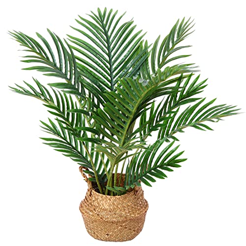 Kazeila Kunstpflanzen Groß 60cm Künstliche Palme Pflanzen Fake Pflanzen Plastik Kunstpalme Pflanze Deko für Home Wohnzimmer Schlafzimmer(1PACK) von Kazeila