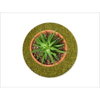 Keilbach Blumentopf Unterlage, ⌀ 34,0 cm, grün von Keilbach Designprodukte