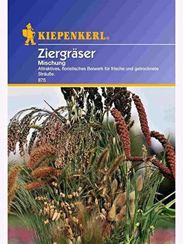Ziergräser Mischung von Kiepenkerl - Blumen-Saatgut