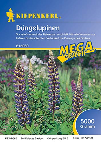 Kiepenkerl Gründünger Lupine 5 Kg von Kiepenkerl