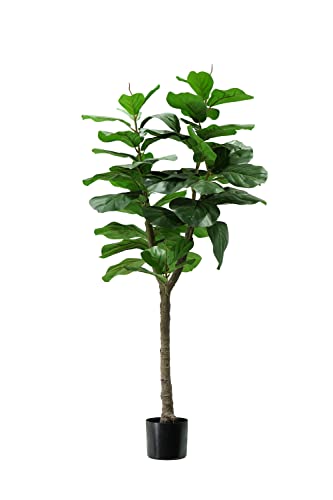 King Collection Pflanze FICUS LYRATA H. 130 cm 60 Blätter von King Collection