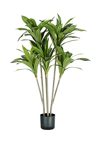 Pflanze DRACAENA H. 130 cm 88 Blätter von King Collection