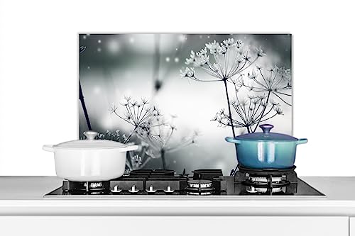 KitchenYeah© Küchenrückwand Platte Spritzschutz Küche Deko Aluminium Platte Wandschutz Küchen Zubehör WandverkleidungBlumen - Natur - Schwarz und weiß - Fotografie - 70x50 cm von KitchenYeah