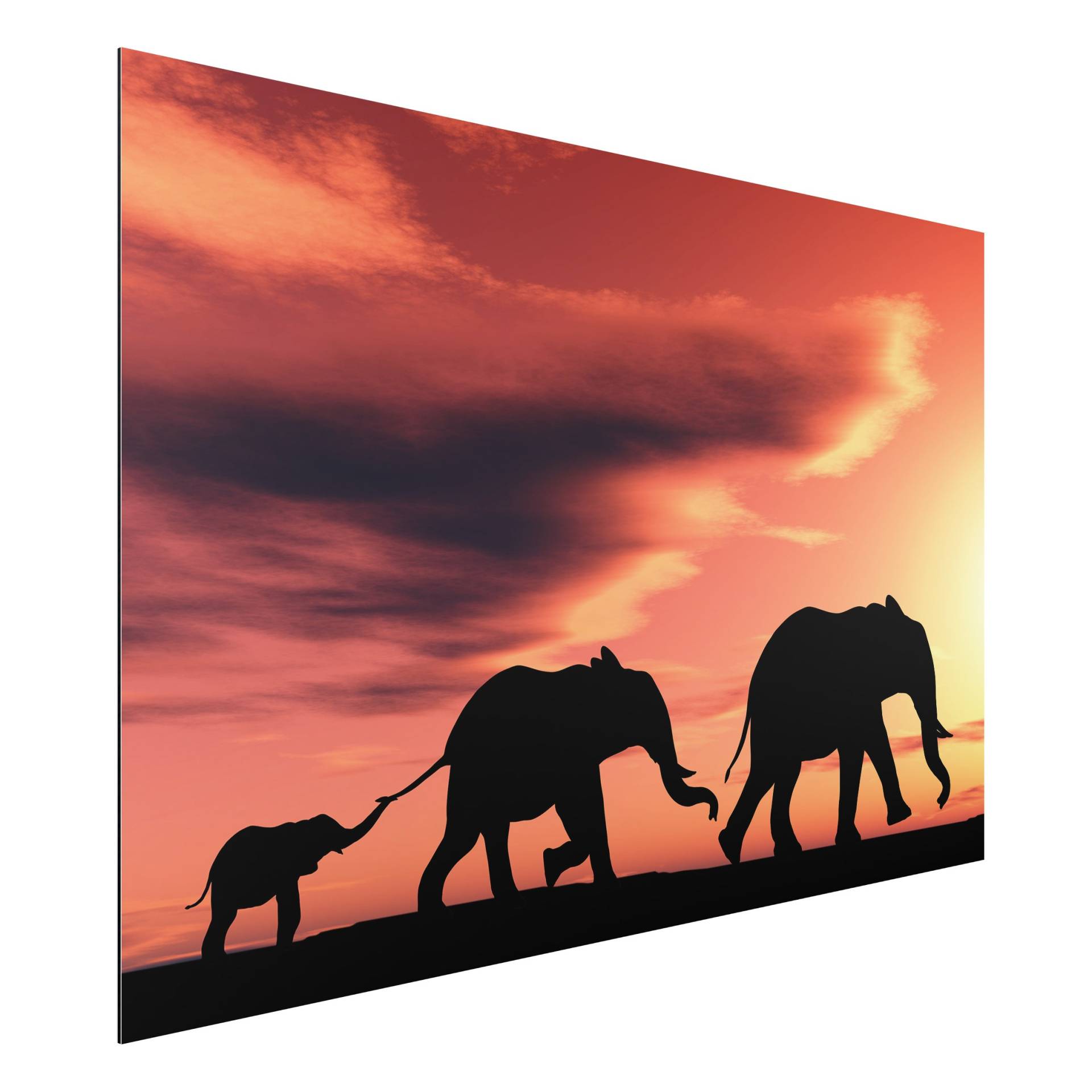 Alu-Dibond Natur & Landschaft Savannah Elefant Family von Klebefieber