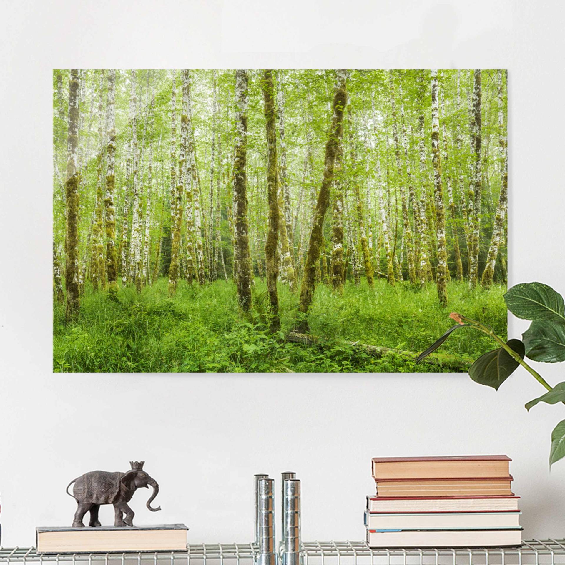 Glasbild Natur & Landschaft Hoh Rainforest Olympic National Park von Klebefieber