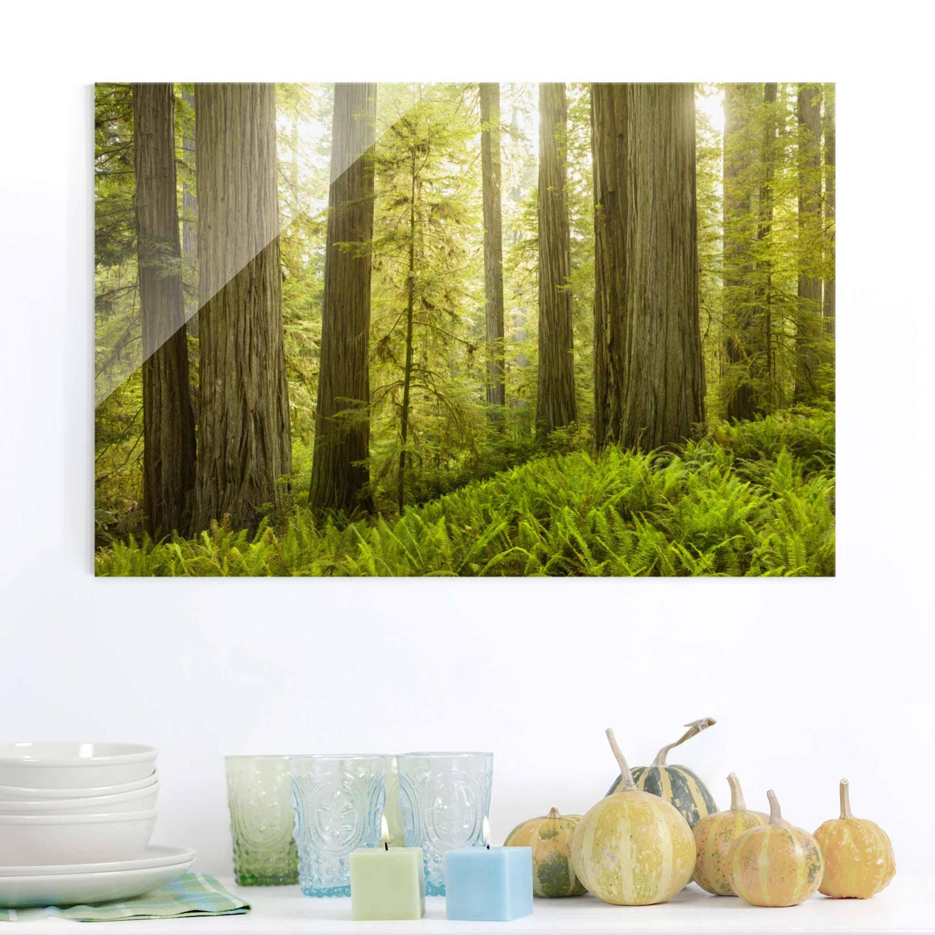 Glasbild Natur & Landschaft Redwood State Park Waldblick von Klebefieber