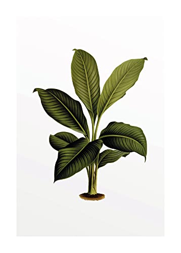 Komar Elastica Leaf - Größe: 50 x 70 cm, Wandbild, Poster, Kunstdruck (ohne Rahmen), PURE Boutique von Komar