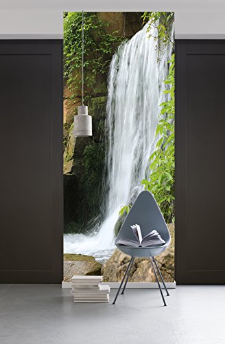 Komar 157-DV1 Vlies Fototapete SWOOSH-100 x 280 cm-Tapete, Wand Dekoration, Wasserfall, Fluss, Natur, Wald, See-157-DV1, bunt von Komar