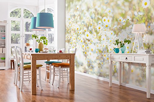 Komar Fototapete DAISIES | 368 x 254 cm | Tapete, Wand Dekoration, Blume, Blüten, Margeriten, Natur, Wiese, Schlafzimmer, Wohnzimmer | 8-994 von Komar