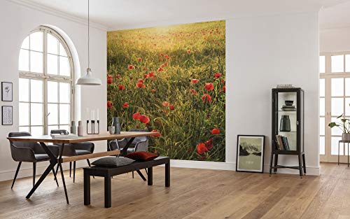 Komar Vlies Fototapete POPPY WORLD | Tapete, XXL, Dekoration, Natur, Landschaft, Schlafzimmer, Wohnzimmer, Büro, Flur | Größe 250 x 280 cm (Breite x Höhe) | SHX5-071 von Komar