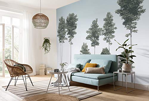 Komar Vlies Fototapete - Pines - Größe 400 x 280 cm (Breite x Höhe) - Wand Tapete Wohnzimmer Schlafzimmer Büro Bäume Himmel Flur Dekoration Wandbild - R4-040 von Komar