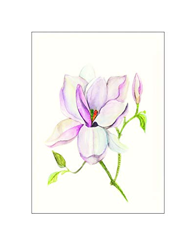 Komar Wandbild | Magnolia Shine | Poster, Bild, Wohnzimmer, Schlafzimmer, Dekoration, Kunstdruck | ohne Rahmen | P073B-40x50 | Größe: 40 x 50 cm (Breite x Höhe) von Komar