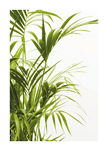 Komar Reed Leaves - Größe: 50 x 70 cm, Wandbild, Poster, Kunstdruck (ohne Rahmen), PURE Boutique von Komar