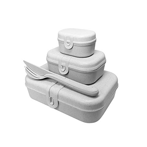 PASCAL READY ORGANIC Lunchbox-Set + Besteck-Set von Koziol