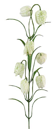 Kunstblumen FRITTILARIE ca 63 cm. Schachblume, Lilie, Fritillaria. In Weiss-GRÜN -43 von Kunstblumen