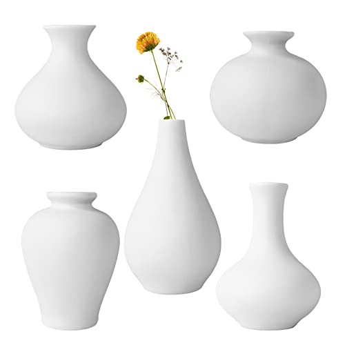 Keramik Vase Set, 5 Stück Blumenvasen aus Keramik, Blumenvasen für Moderne Wohnkultur, dekorative Vase für Pampasgras, Kleine Vasen für Blumen, Pflanzen, Dekoration Moderne Home Decor (Weiß) von Kweiugfi