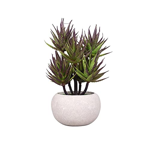 Kunstpflanze Desktop Aloe Vera Simulation Topf Heimeinrichtungs Simulationspflanze Bonsai Grünpflanzedekorative Pflanzen Lila von LAMKUR